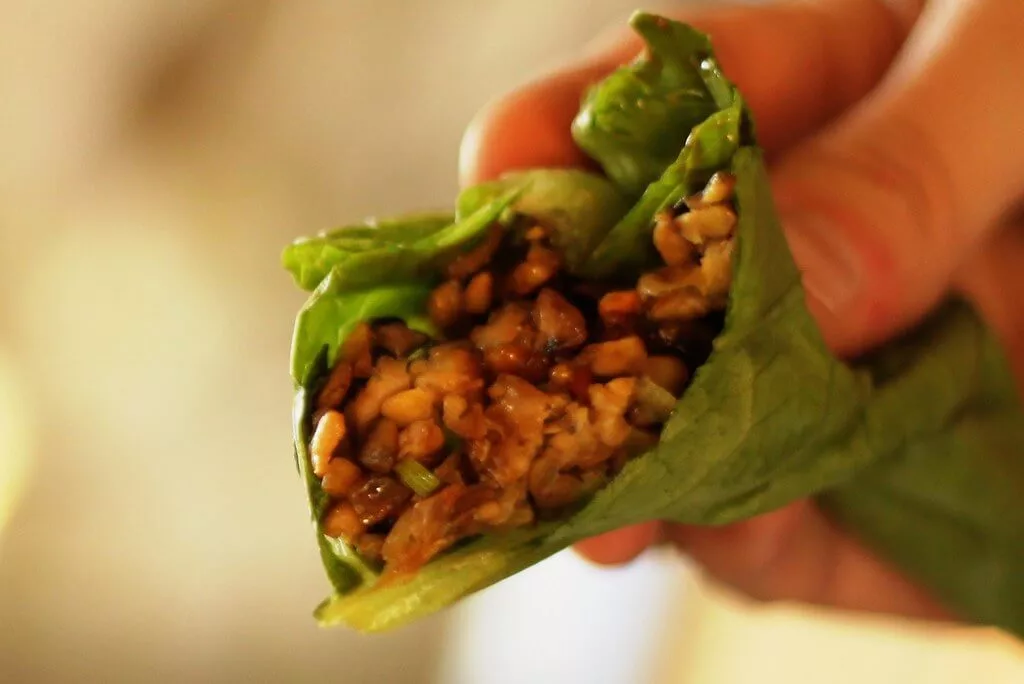 Vegan Asian Lettuce Wraps